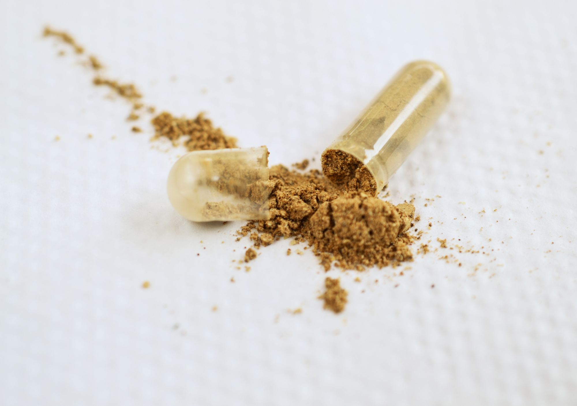 Supplement